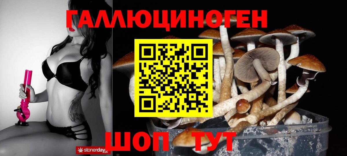 Галлюциногенные грибы Psilocybine cubensis  Вход с VPN  Торжок 